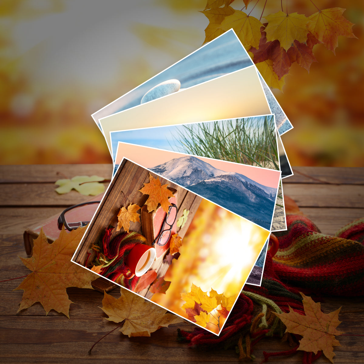 Die Ostsee-Trilogie Band 1-3 plus 1 exklusives Postkartenset