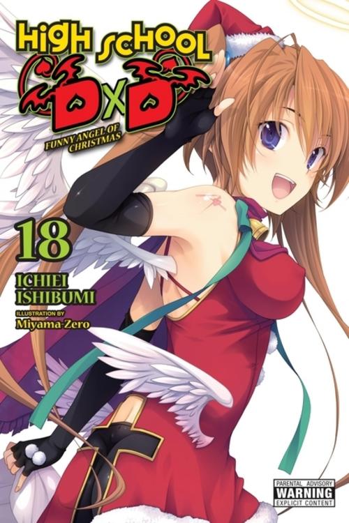 High School DXD, Vol. 18 (Light Novel)