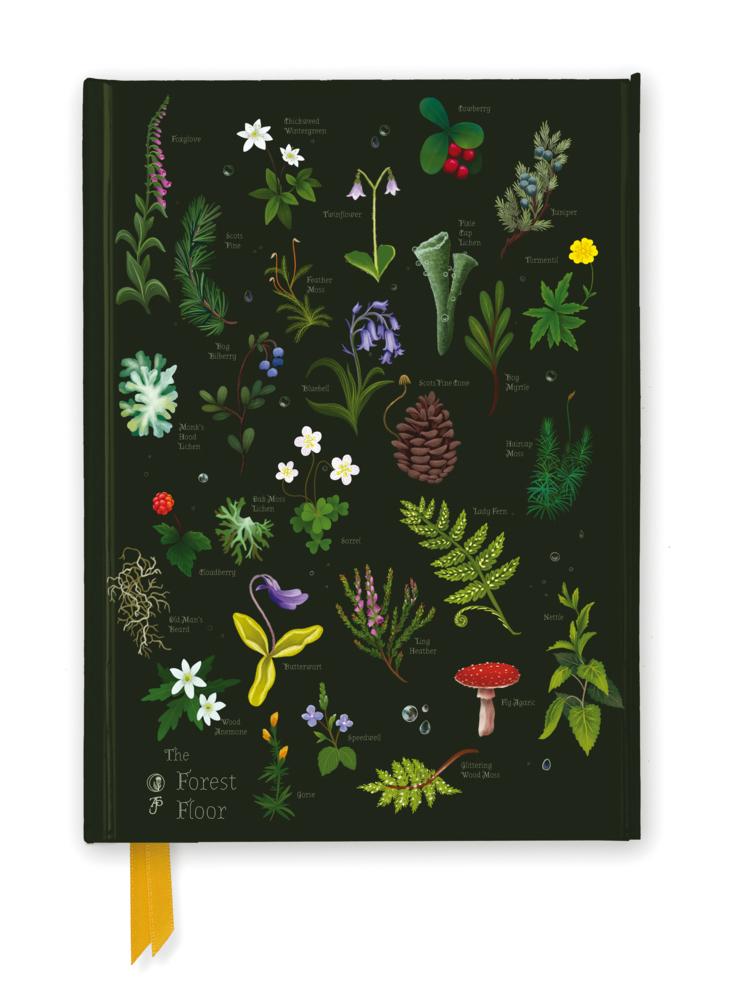 Anna Stead: The Forest Floor (Foiled Journal)
