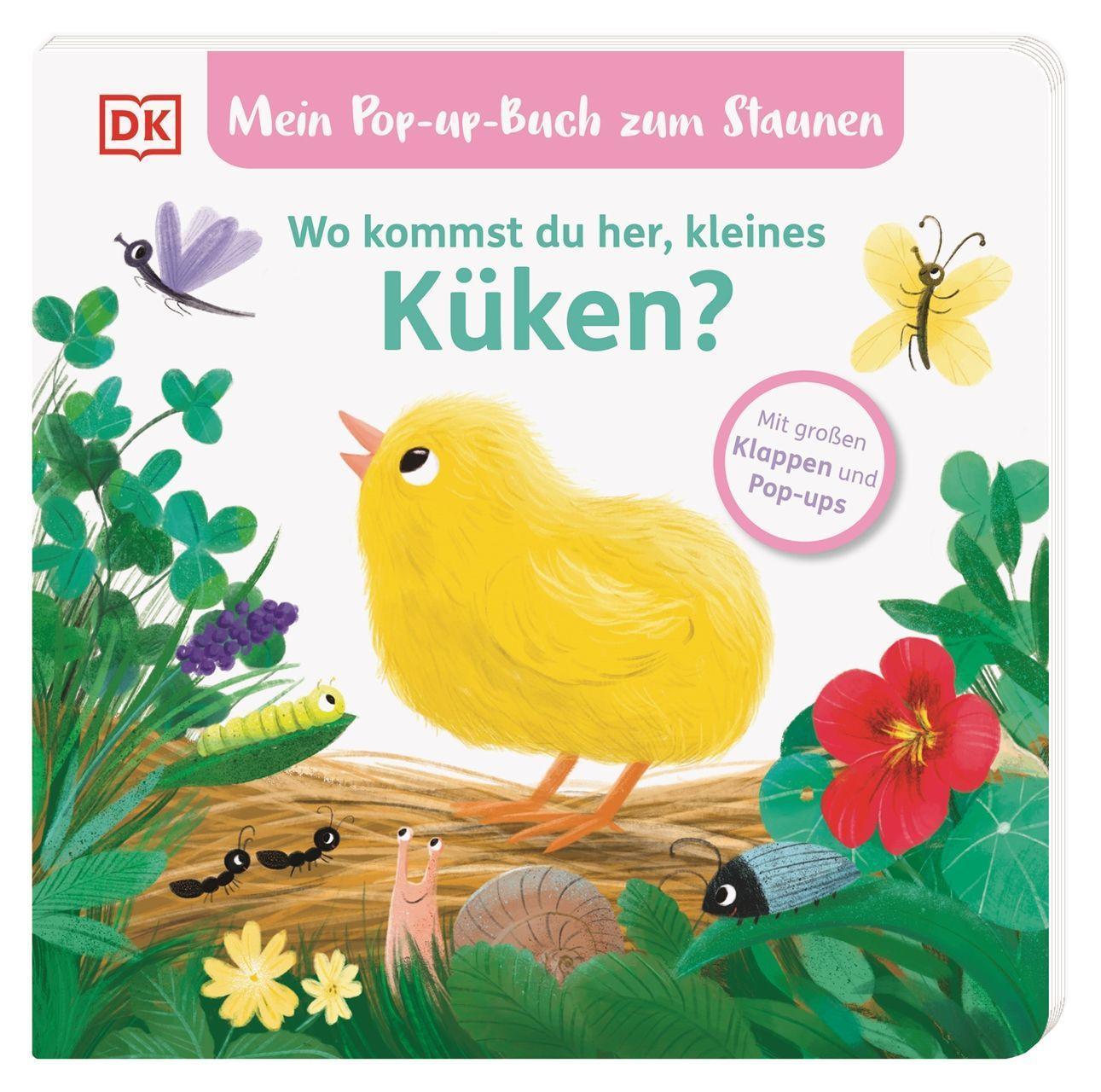 Mein Pop-up-Buch zum Staunen. Wo kommst du her, kleines Küken?