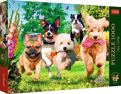Buchcover: Hunde
