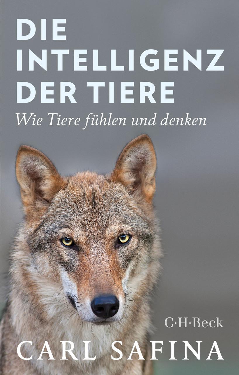 Buchcover: Die Intelligenz der Tiere