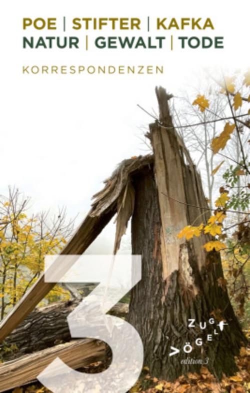 Buchcover: Poe - Stifter - Kafka: Natur - Gewalt - Tode