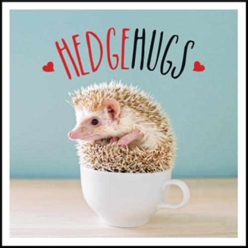 Buchcover: Hedgehugs