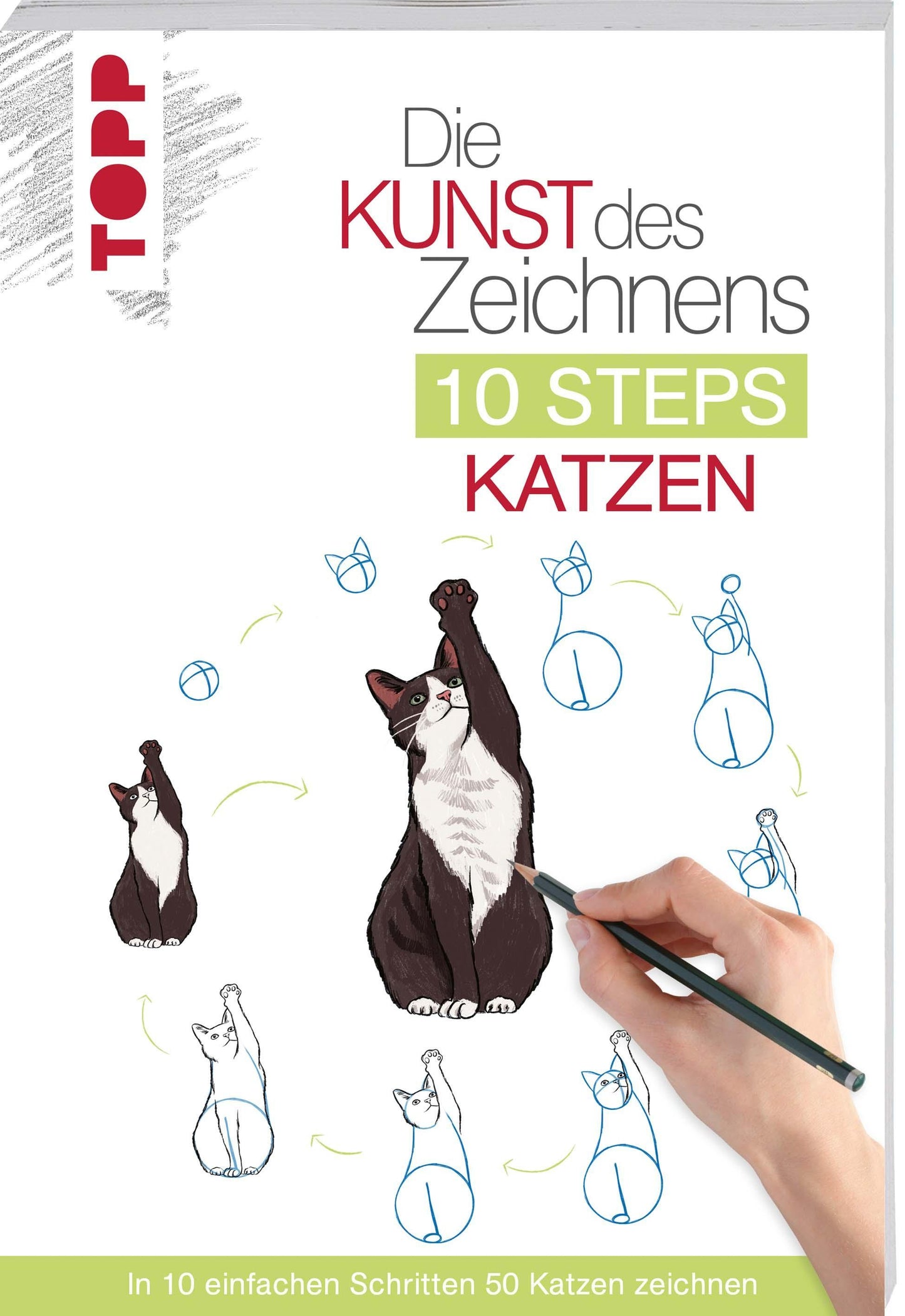 Die Kunst des Zeichnens 10 Steps - Katzen