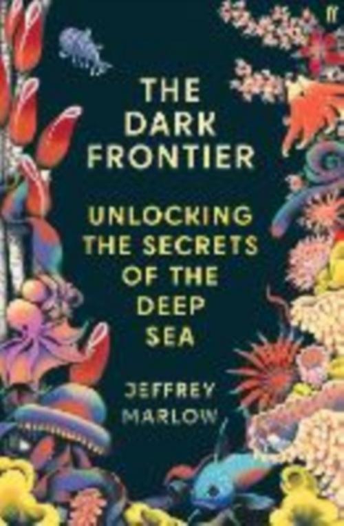Buchcover: The Dark Frontier