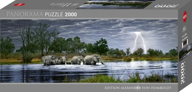 Herd of Elephants