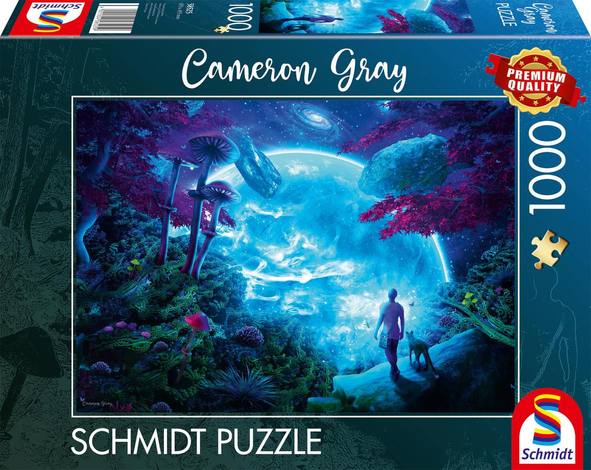 Buchcover: Himmelsfantasie