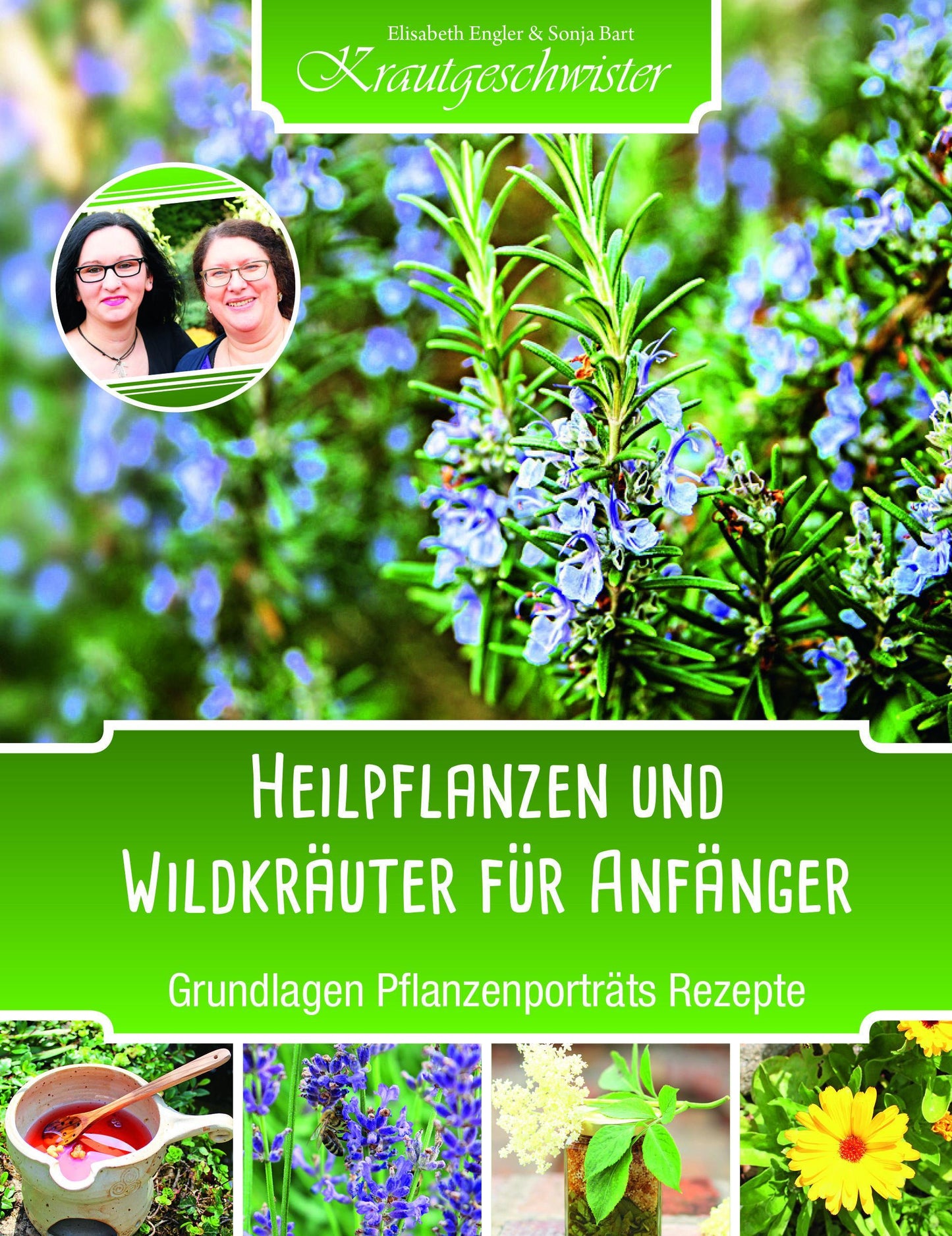 Heilpflanzen und Wildkräuter für Anfänger