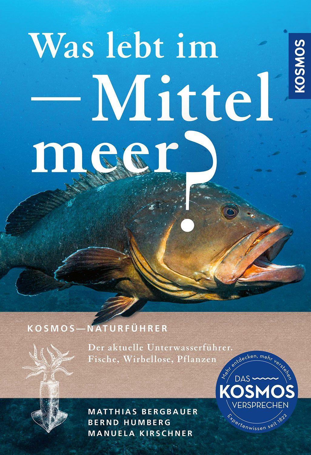Was lebt im Mittelmeer?: Der aktuelle Unterwasserführer mit über 400 Arten Fische und Wirbellose. Der aktuelle Naturführer für Taucher und Schnorchler und für alle Urlauber am Mittelmeer.