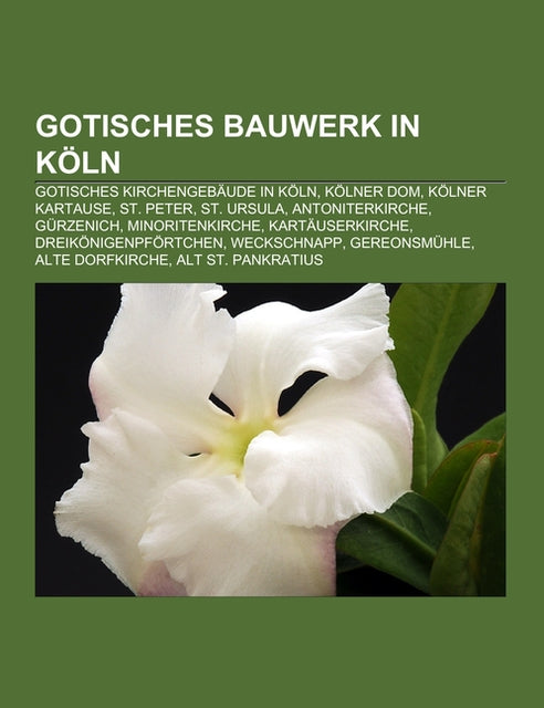 Buchcover: Gotisches Bauwerk in Köln