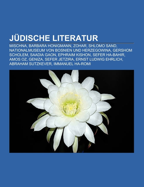 Buchcover: Jüdische Literatur