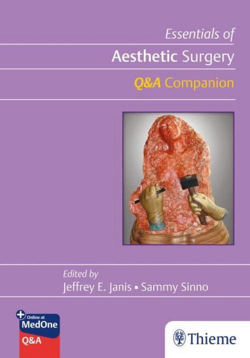 Buchcover: Essentials of Aesthetic Surgery Q&A Companion