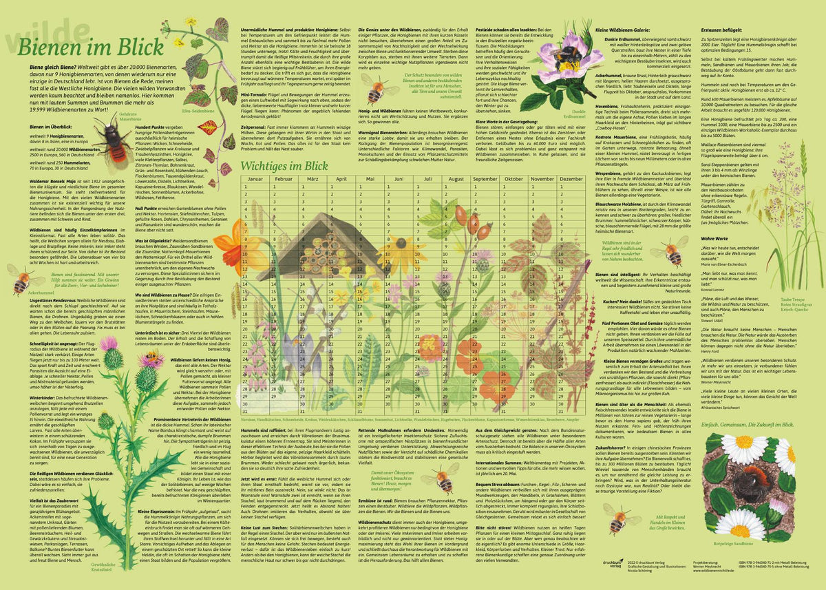 Buchcover: Erlebnisposter \"Bienen im Blick\"