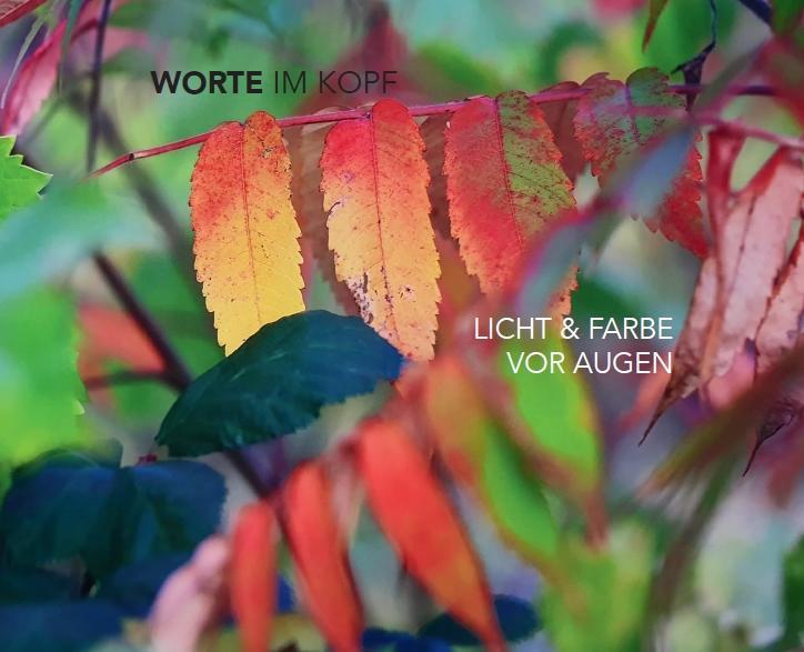 Buchcover: Worte im Kopf - Licht & Farbe vor Augen