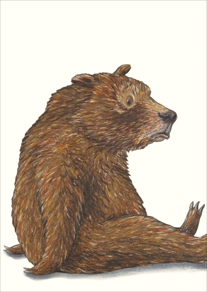 Buchcover: Sauerbär Postkarte VE 1 = 10