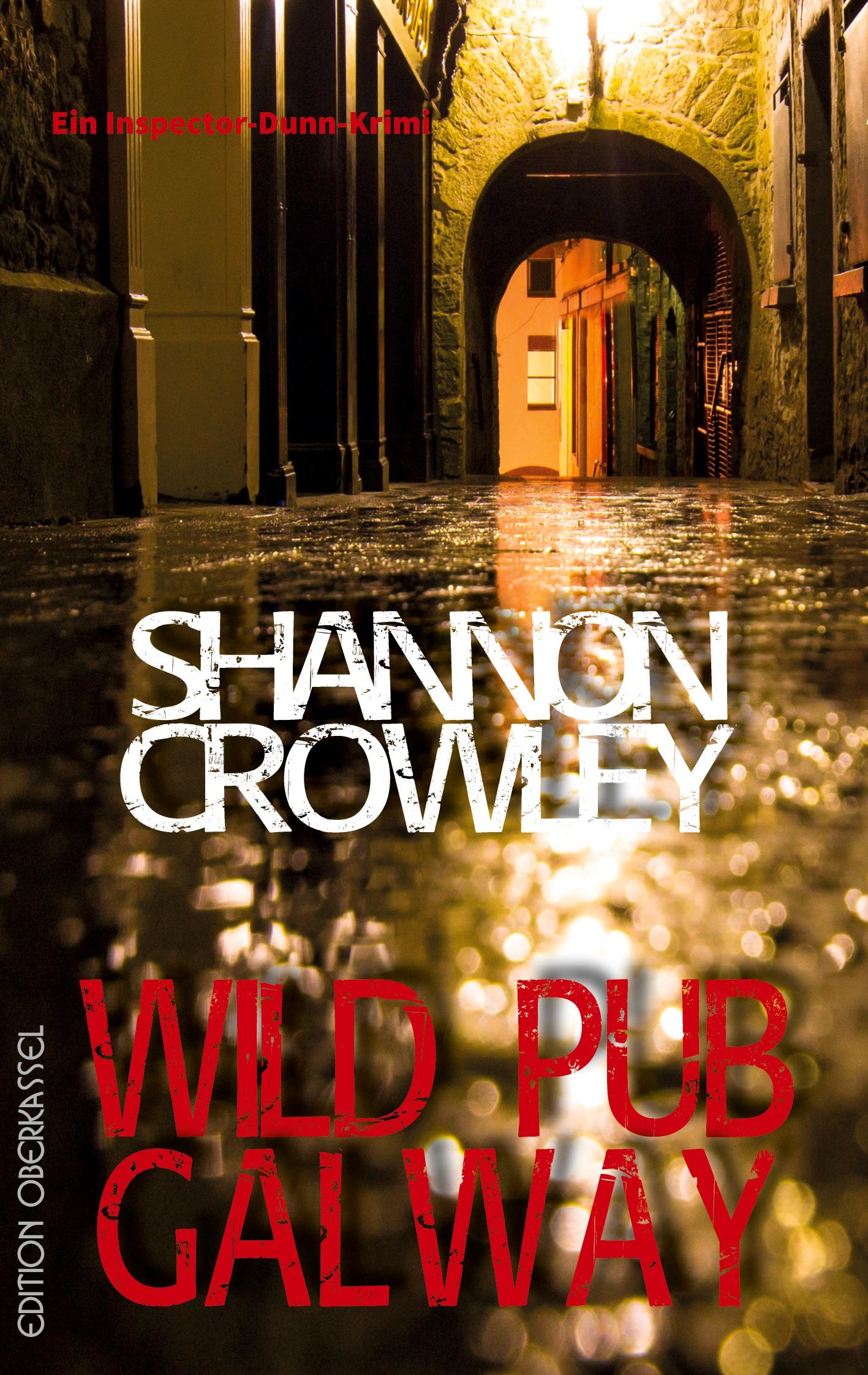 Wild Pub Galway