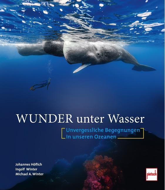 Wunder unter Wasser: Unvergessliche Begegnungen in unseren Ozeanen