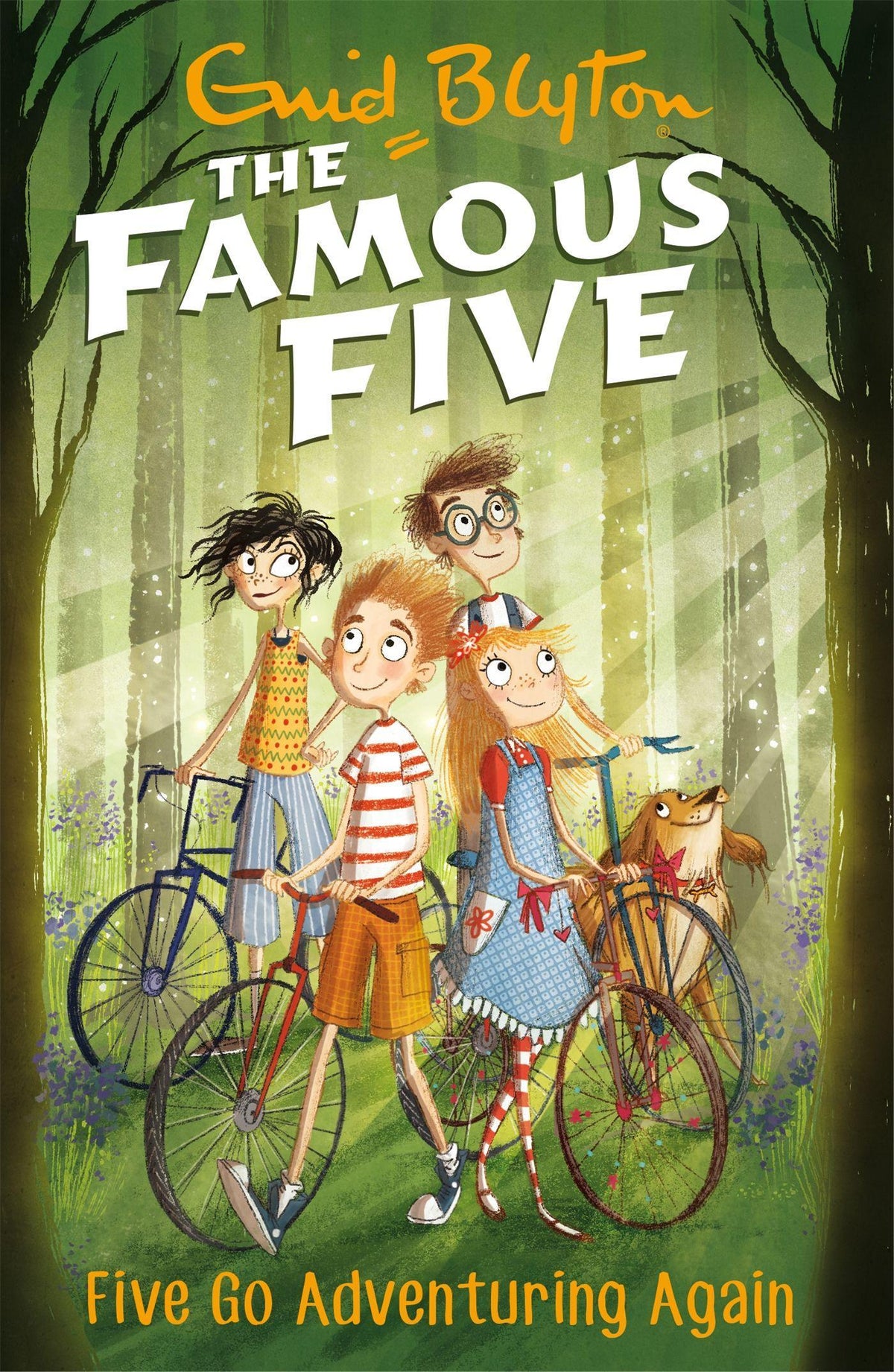 Buchcover: Famous Five