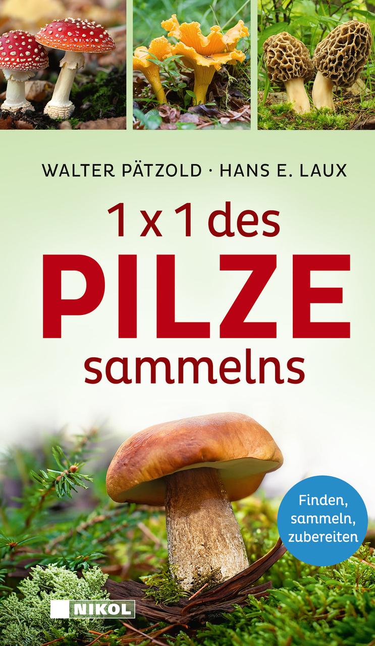 Buchcover: 1 x 1 des Pilzesammelns