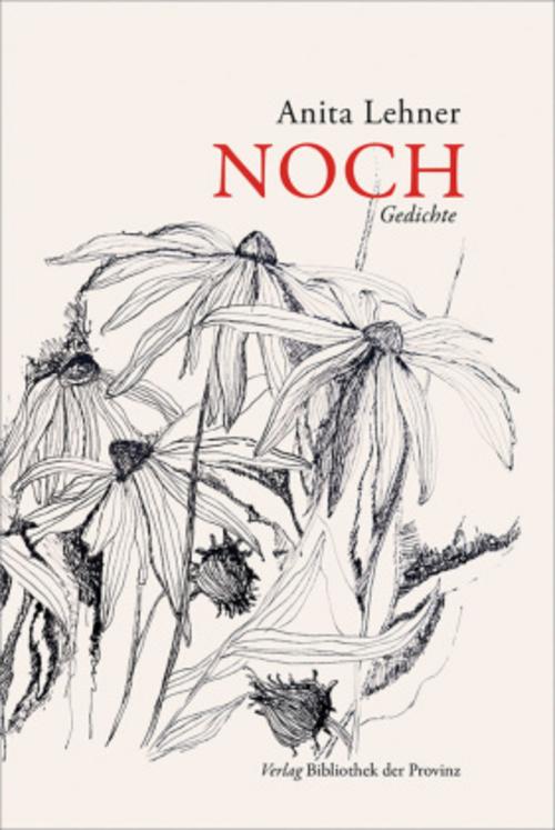 Buchcover: Noch