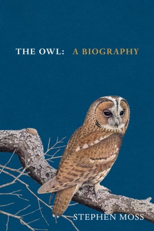 Buchcover: The Owl