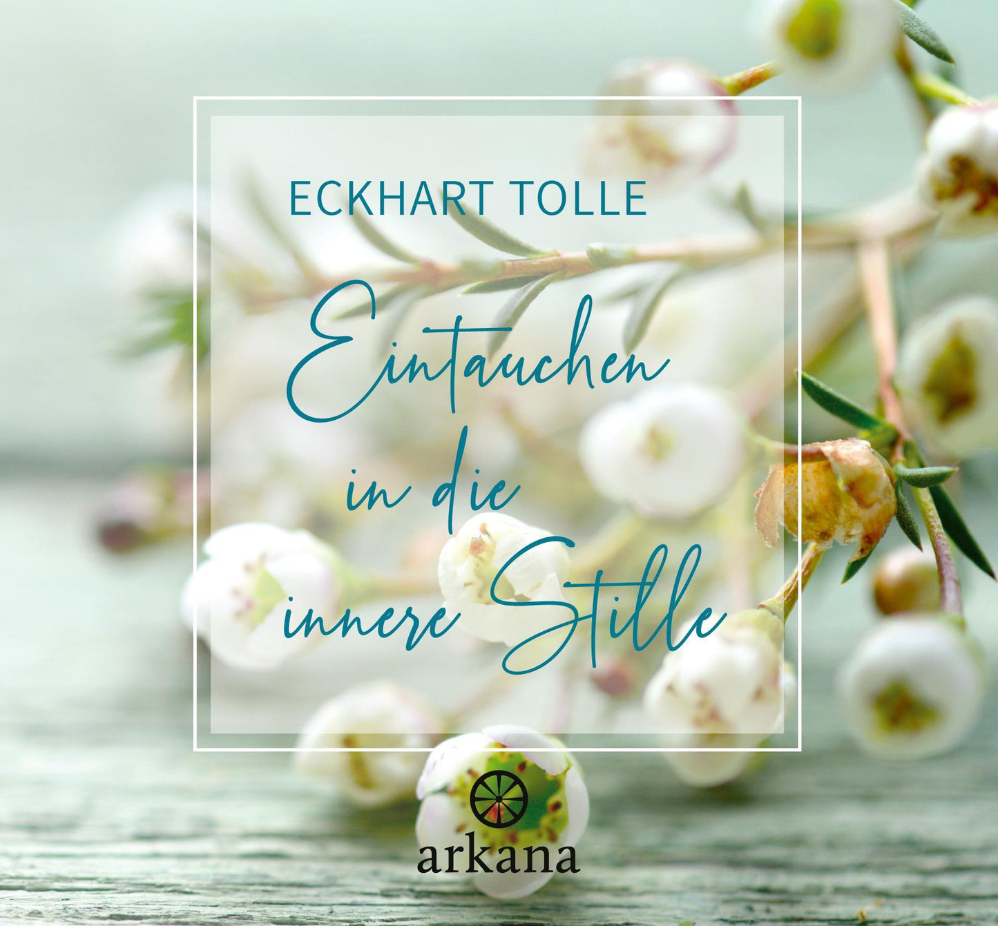 Buchcover: Eintauchen in die innere Stille