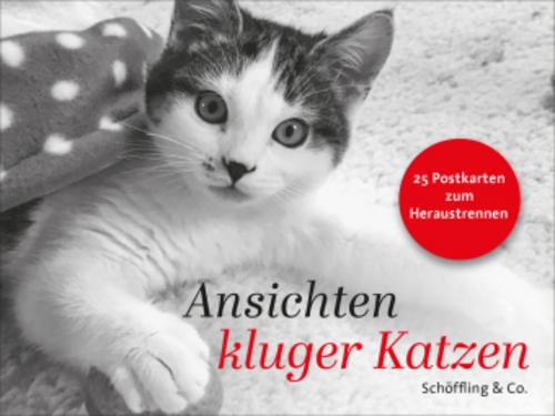 Buchcover: Ansichten kluger Katzen
