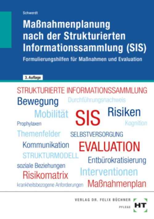 eBook inside: Buch und eBook Maßnahmenplanung nach der Strukturierten Informationssammlung (SIS)