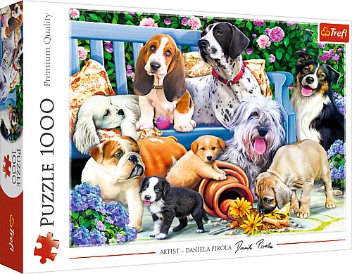 Buchcover: Hunde im Garten
