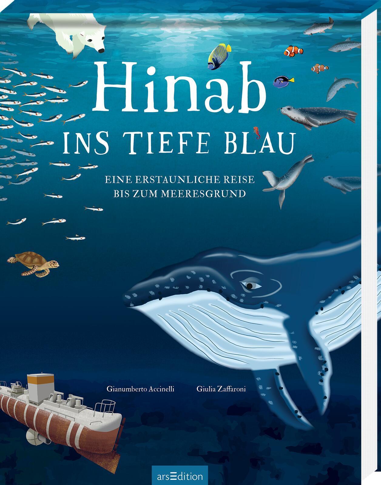 Accinelli, Gianumberto/Hinab ins tiefe Blau