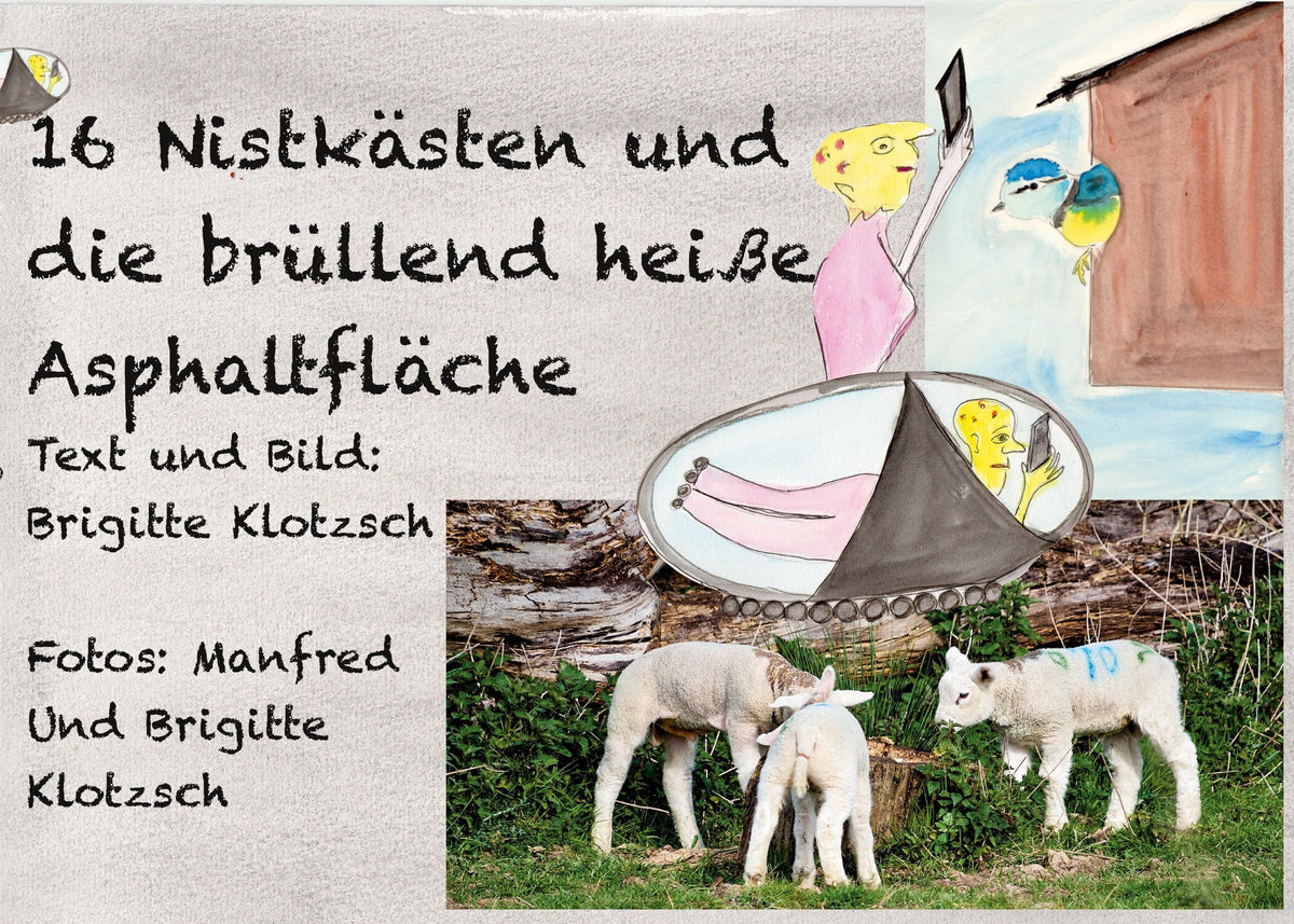 Buchcover: Sechszehn Nistkästen und die brüllend heiße Asphaltfläche