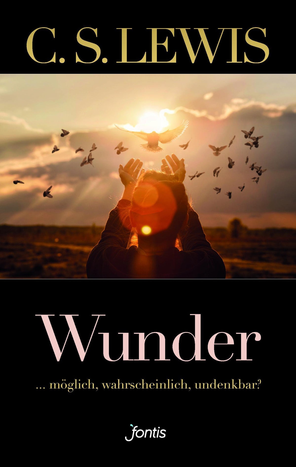 Buchcover: Wunder
