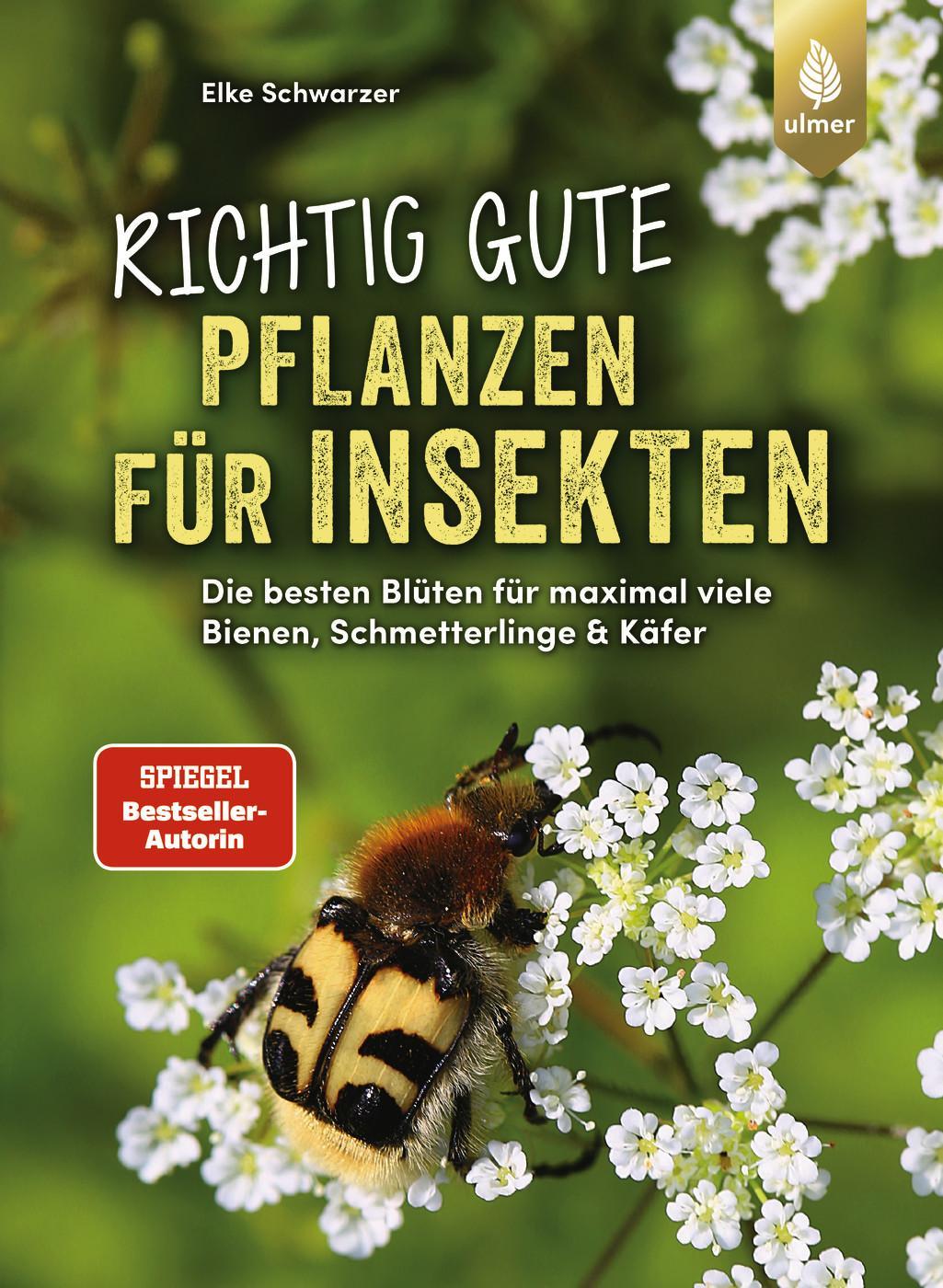 Richtig gute Pflanzen für Insekten: Die besten Blüten für maximal viele Bienen, Schmetterlinge, Schwebfliegen & Käfer im Garten. Mehr Respekt für's Insekt.