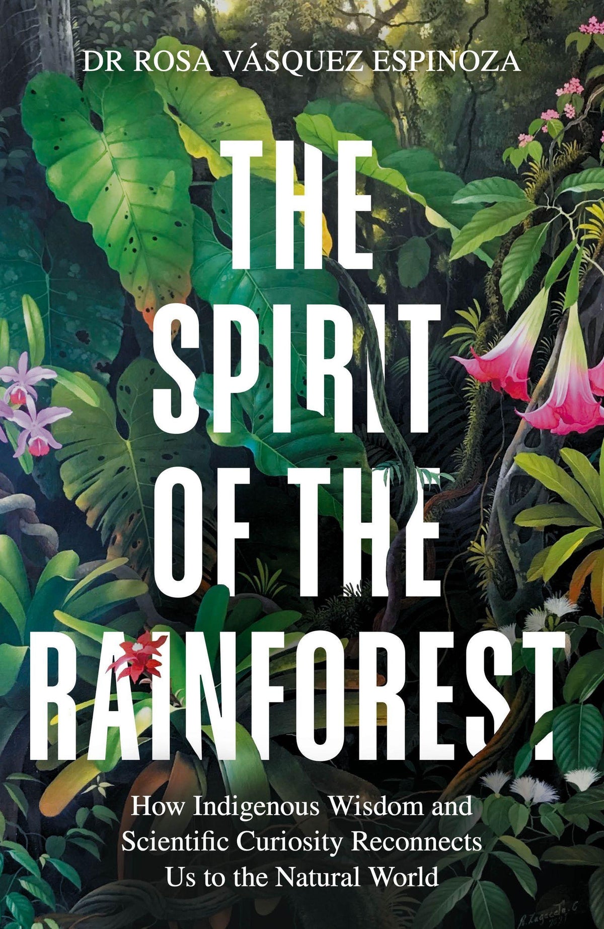 Buchcover: The Spirit of the Rainforest