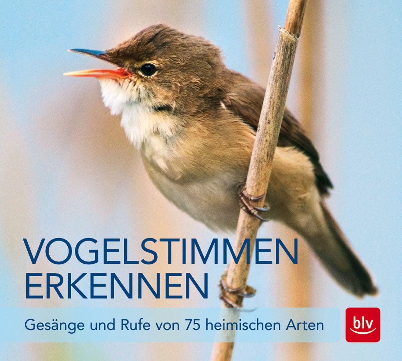 Vogelstimmen erkennen,Audio-CD