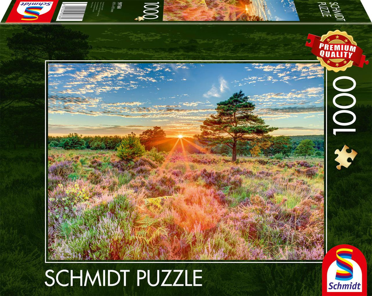 Heide im Sonnenuntergang
