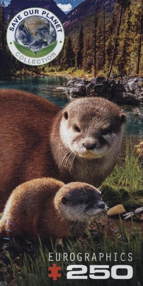Buchcover: Otter (Puzzle)