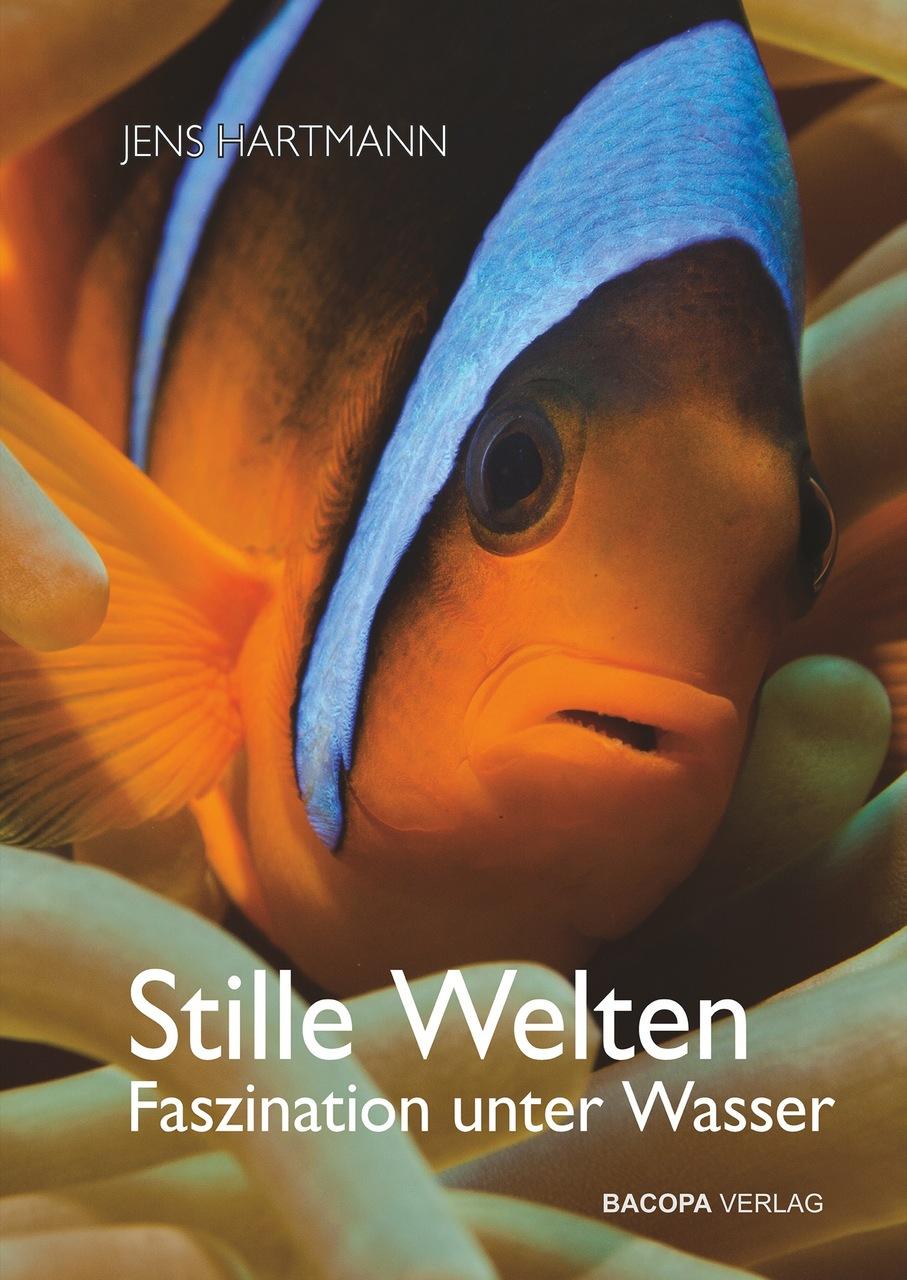 Buchcover: Stille Welten