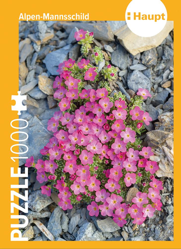 Buchcover: Alpen-Mannsschild