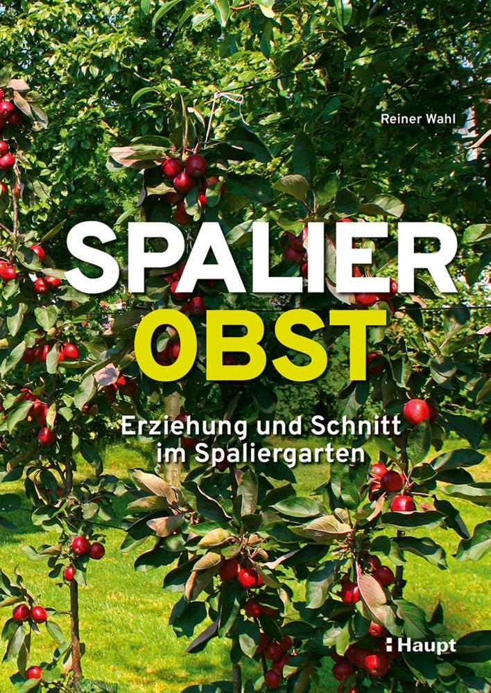 Spalierobst