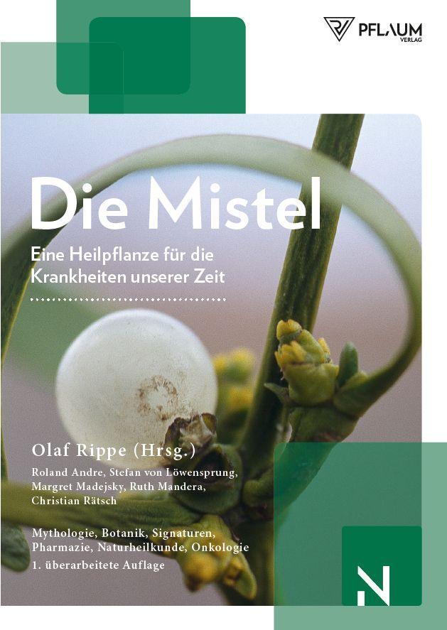 Die Mistel eine Heilpflanze unserer Zeit