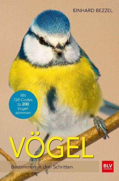 Buchcover: Vögel