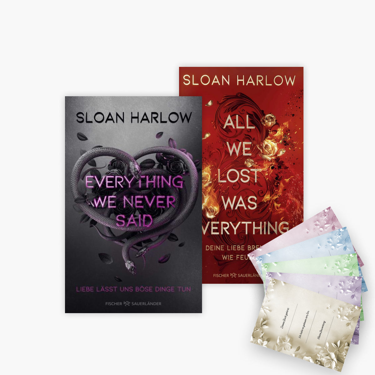 Everything We Never Said + All We Lost Was Everything + 1 exklusives Postkartenset