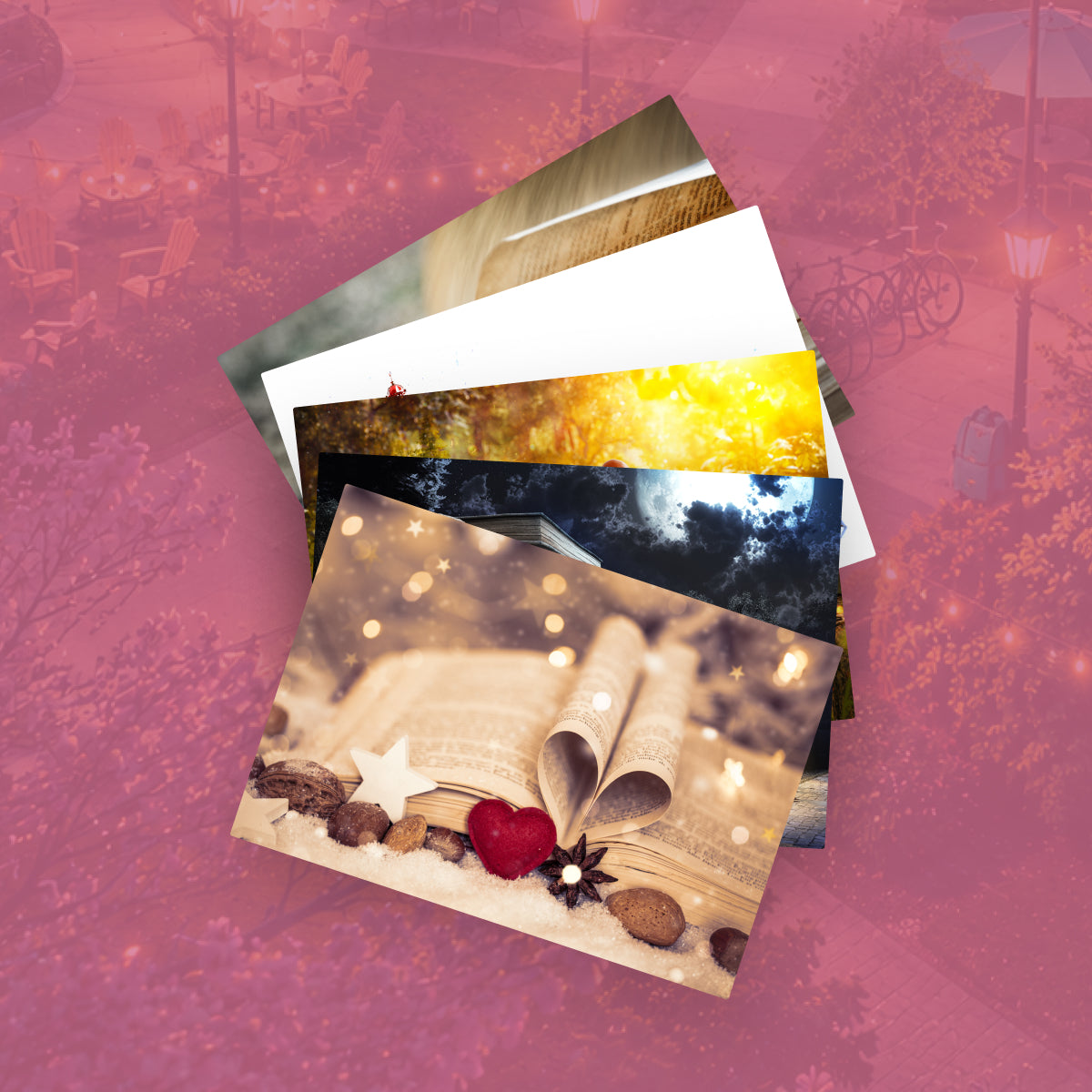 Die Off-Campus-Reihe Band 1-4 Special Edition + 1 exklusives Postkartenset – 7 [who:48]