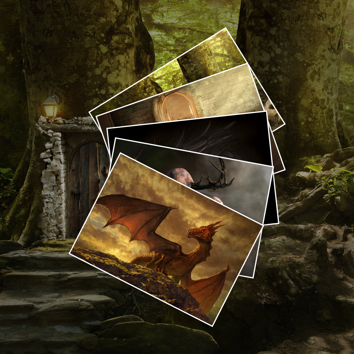 Im Zeichen der Mohnblume Band 1-3 plus 1 exklusives Postkartenset