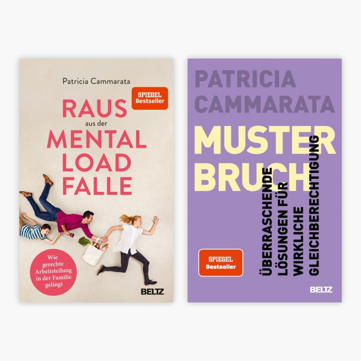 Raus aus der Mental Load-Fall + Musterbruch + 1 exklusives Postkartenset