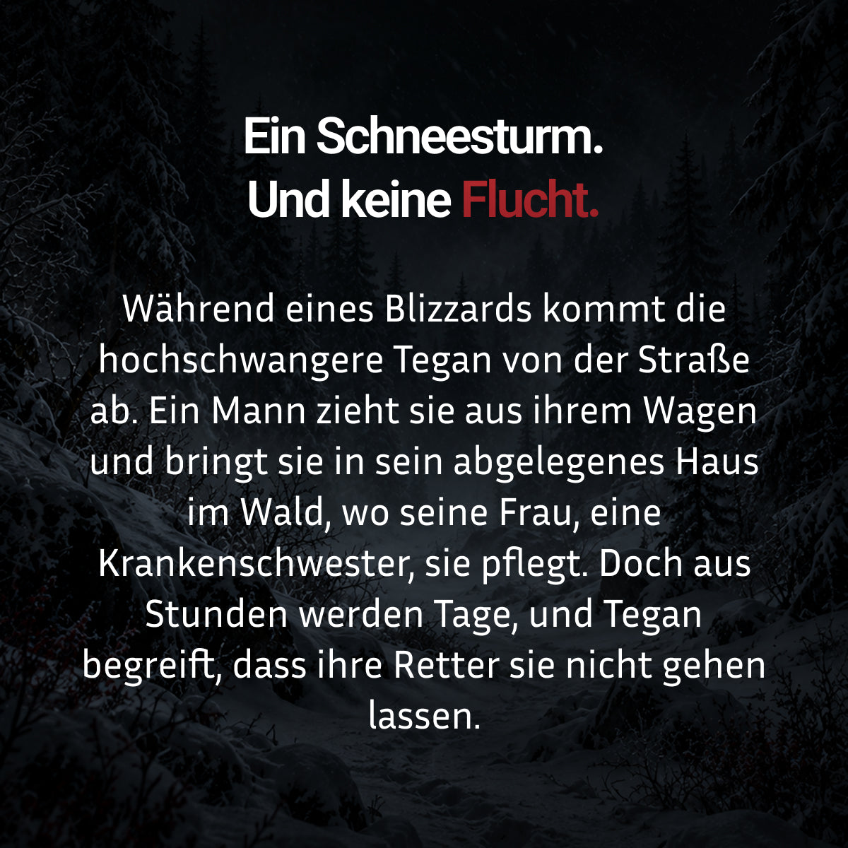 Der Unfall – Freida McFadden | Limitierte Farbschnitt-Edition (Erstauflage)