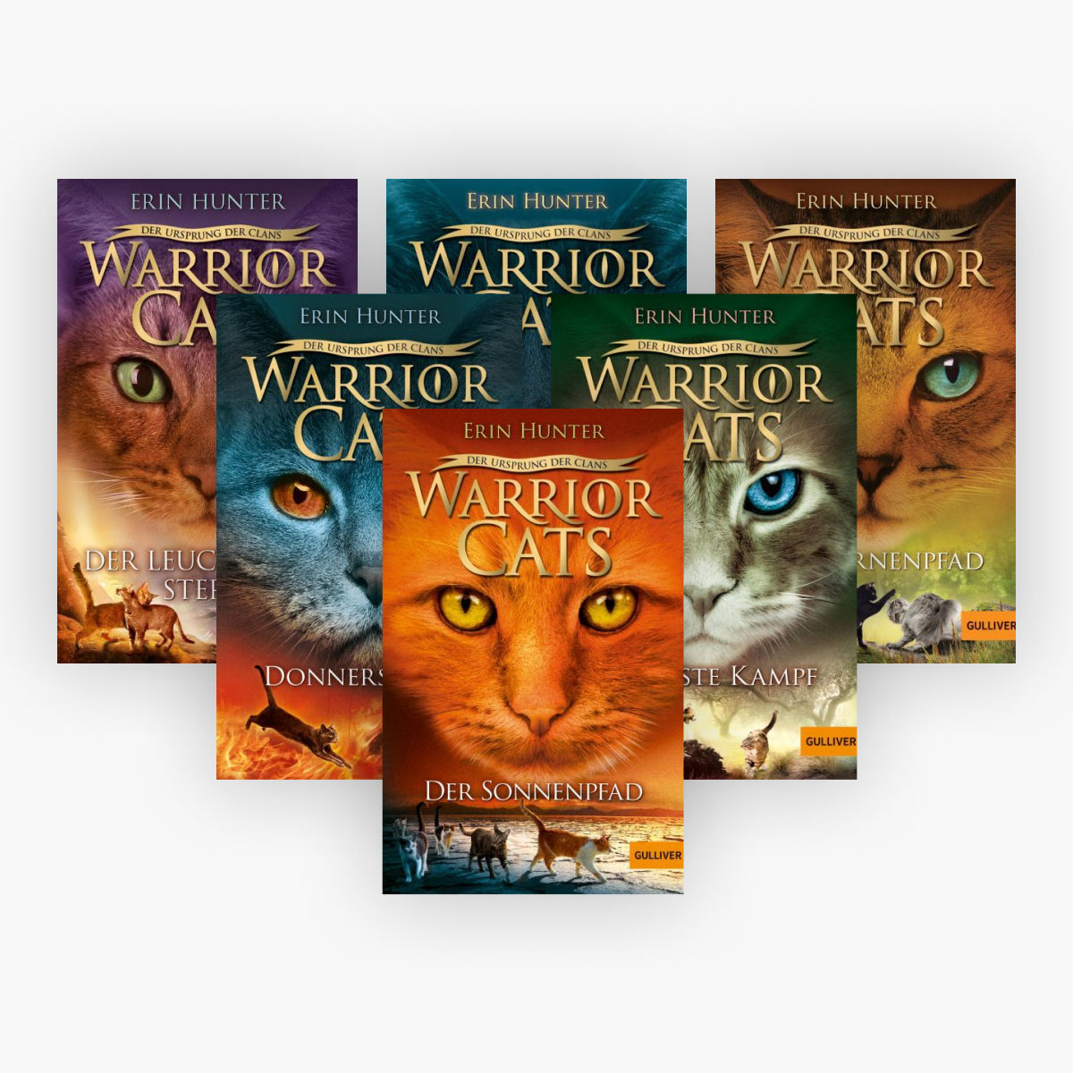 Warrior Cats Staffel V Band 1-6 plus 1 exklusives Postkartenset