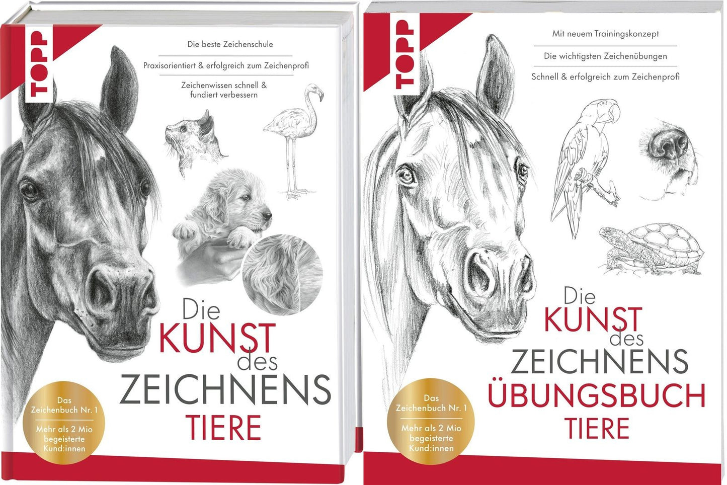 Die Kunst des Zeichnens Tiere + Übungsbuch + 1 exklusives Postkartenset